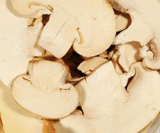 Champignons Scheiben gefriergetrocknet