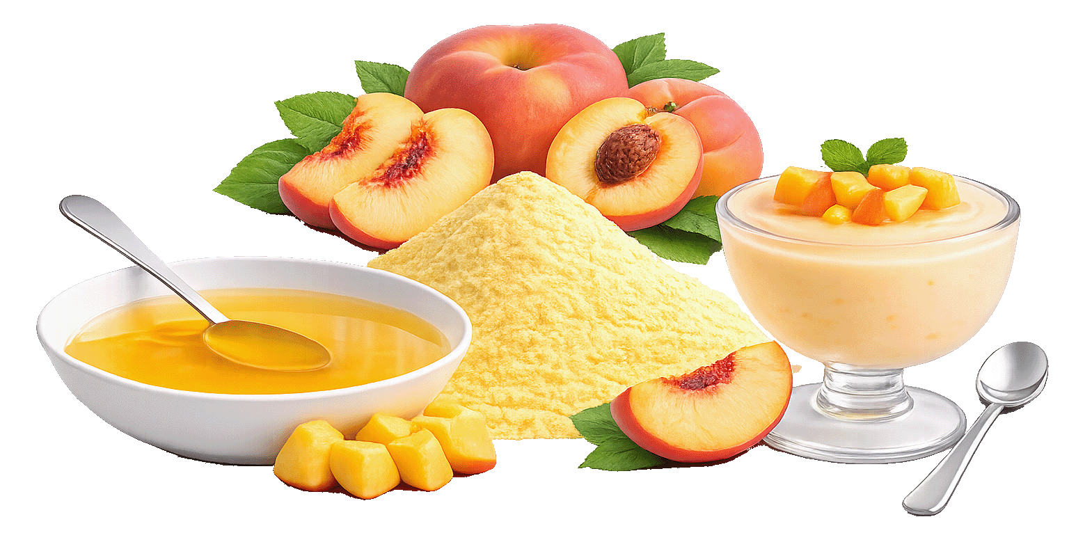 Fruchtsuppe/Dessert "Pfirsich" mit Fruchtstücken