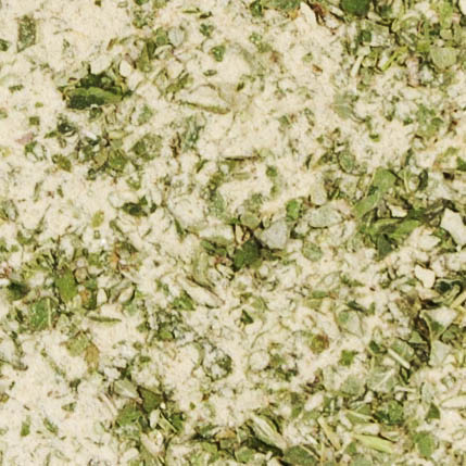 Salatwürzkräuter "Toscana"