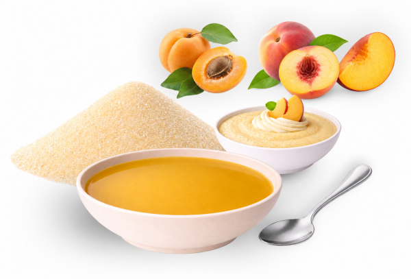 Fruchtsuppe/Dessert "Pfirsich-Aprikose" ohne Fruchtstücke