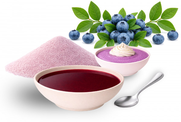 Fruchtsuppe/Dessert "Blaubeere" ohne Fruchststücke