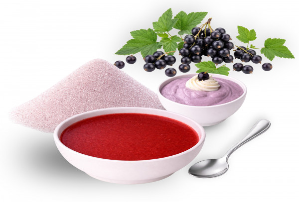 Fruchtsuppe/Dessert "Schwarze Johannisbeere" ohne Fruchtstücke